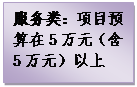 文本框: 服务类：项目预算在5万元（含5万元）以上